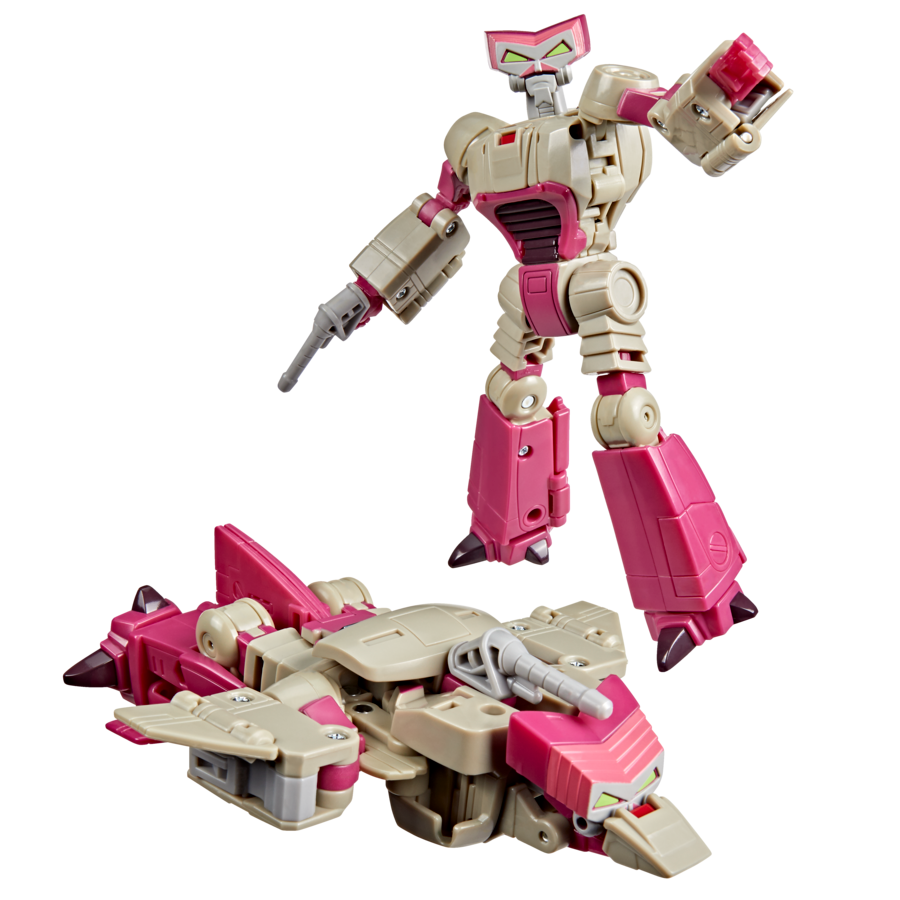 G21955X00.jpg
